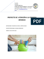 Proyecto A.P.I. 2021