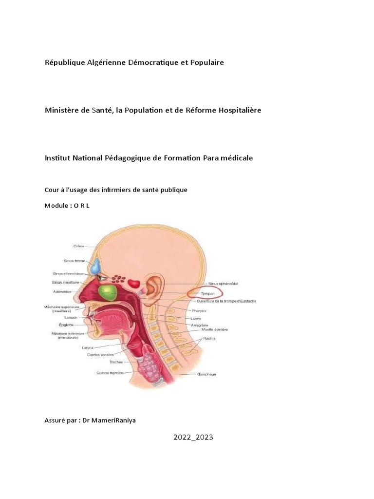 Cours d'ORL pour Infirmiers 2022-2023 | PDF | Oreille | Médecine clinique