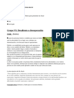 Trabajo Individual N 10 PDF