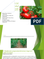 Tarea 2 - Implementación de Un Sistema de Hortícola, Buenas Prácticas Agrícolas y Culturales - GrupoColaborativo - 20
