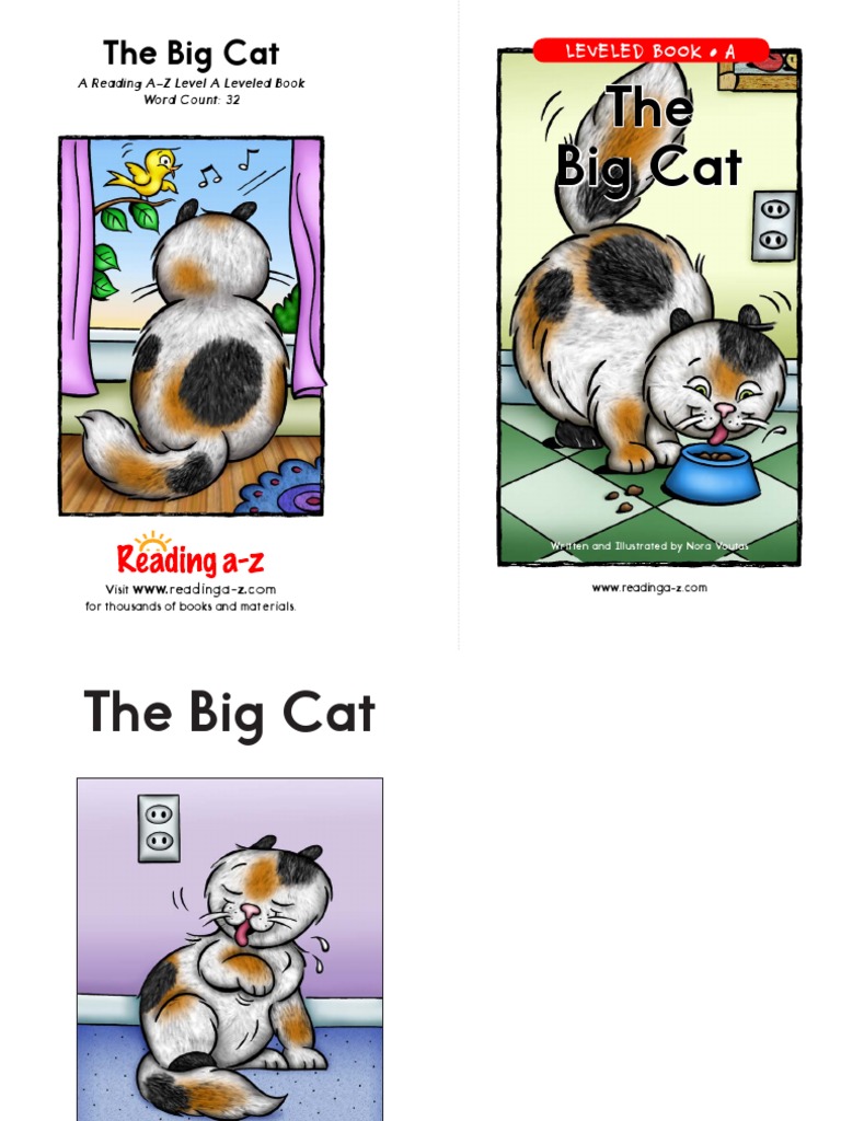 Raz La37 Bigcat CLR | PDF