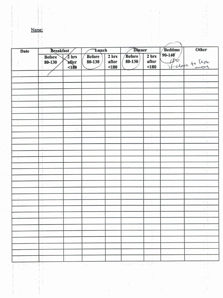 Meter Log PDF