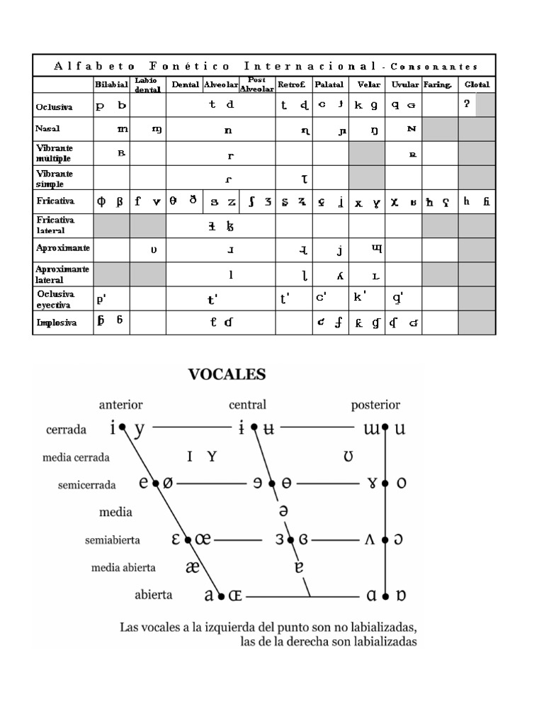 Alfabeto Internacional PDF