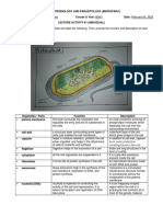 MC3 - Lecture Activity 1 PDF