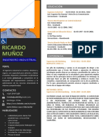 207-Curriculum Vitae Nuevo PDF