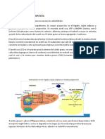 Bioquimica Solemne 3 Completo PDF