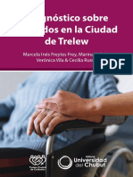 Informe PNUD - Diagnóstico Sobre Cuidados en La Ciudad de Trelew (2020)