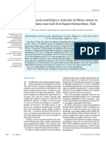 Identificacion Morfologica y Molecular de Filarias Caninas en Una Comuna Semi-Rural de La Region Metropolitana, Chiel