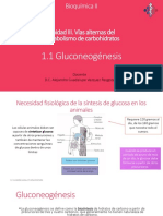 Bioquímica II - Gluconeogénesis