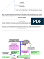 Objetivo: 2 Mapa Conceptual El Proceso de Generación, Conducción Y Transmisión Del Impulso Nervioso Impulso Nervioso