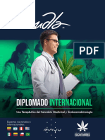 Brochure Diplomado VFinal 2023.pdf