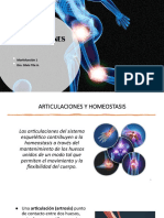Articulaciones PDF
