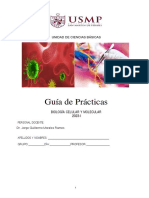 Guía de Práctica - Biología Celular y Molecular