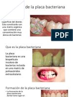 Placa Bacteriana PDF