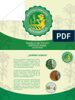 Portafolio Marzo 2023 PDF