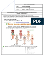 Organização do corpo humano