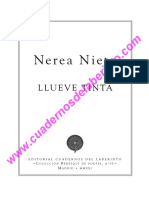 Llueve Tinta Nerea Nieto PDF