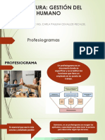 Profesiogramas PDF