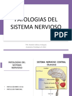 Patologias Del Sistema Nervioso