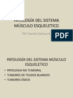Patologia Del Sistema Musculo Esqueletico