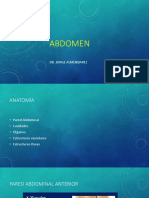 Abdomen 1 PDF