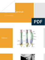 Columna Cervical PDF