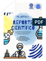 Plantilla de Reporte Largo 2023-2
