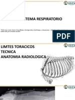 RX Tórax Sistema Respiratorio: Anónimo