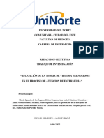 Aplicación de La Teoria de Virginia Hernderson en El Proceso de Atencion de Enfermeria