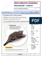 EVAALUACIÓN DIAGNÓSTICA 3to PDF