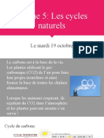 Thème 5 - Les Cycles Naturels