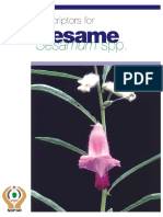 IPGRI - Descriptors For SESAMO PDF