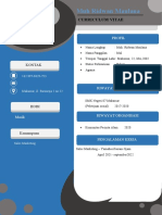 Muh Ridwan Maulana: Curriculum Vitae