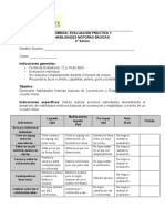 Rúbrica Evaluación 1. 2º Básico. Habilidades Motrices Básicas (L-E)