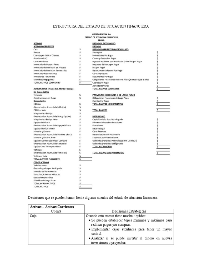 Estructura Del Estado de Situación Financiera | PDF