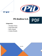 Pil Andina