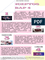 Conceptos RAP 4 PDF