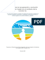 White Paper - Matices para La Recuperación y Evolución Turística en Aysén en El Contexto de La COVID-19