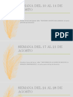 Diario de Campo Agosto PDF