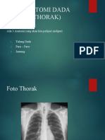 Anatomi Dada (Thorak)