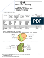 GenBioL Mod 10 Fruit