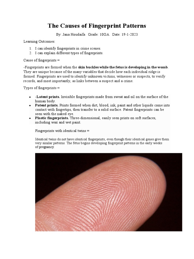 The Development of Fingerprints: Exploring Their Formation in the Womb ...