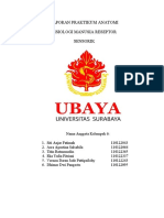 Laporan Praktikum Anatomi Fisiologi Manusia Reseptor Sensorik