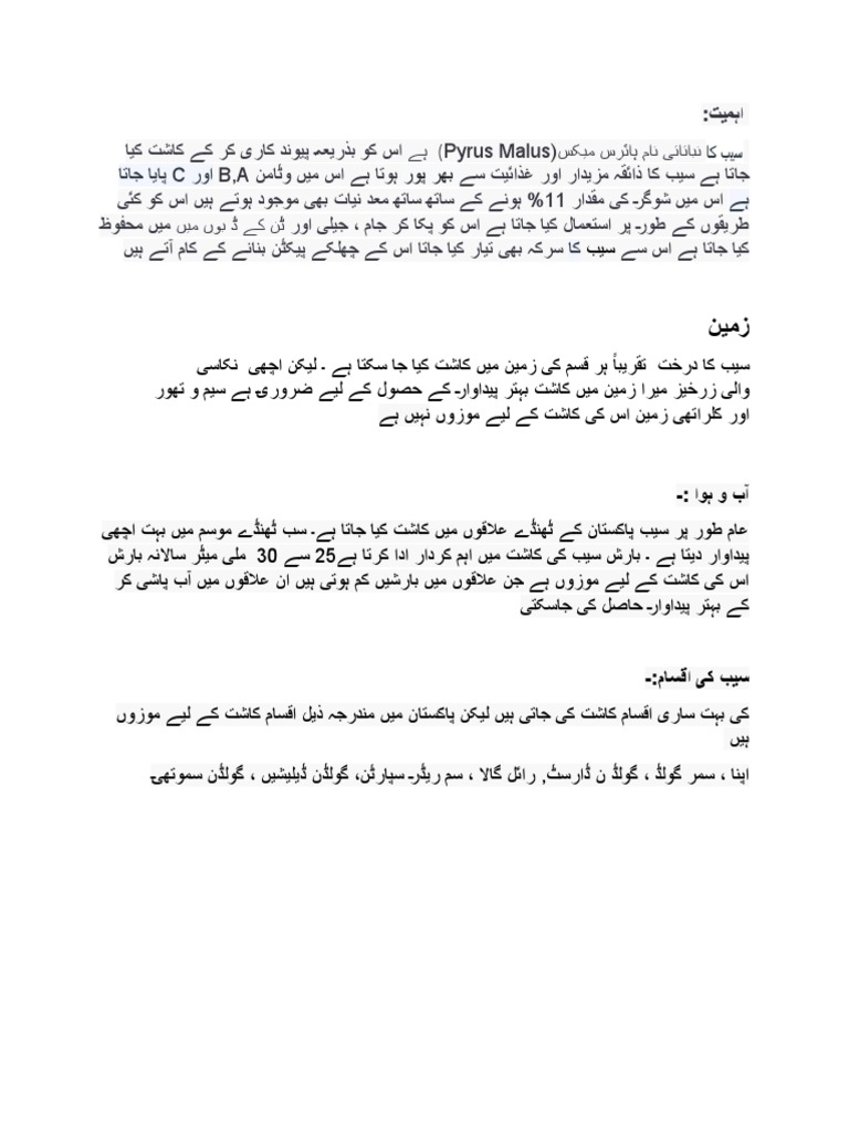Apple's File Urdu | PDF