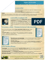 Bronchite PDF