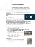 Dossier Informe Experiment Difusió