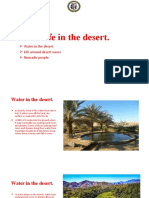 Life in The Desert