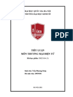 20050186 - Trần Phương Dung - Tiểu luận TMĐT PDF