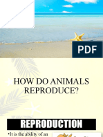 How Animals Reproduce