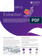 Strawberry DNA Extraction